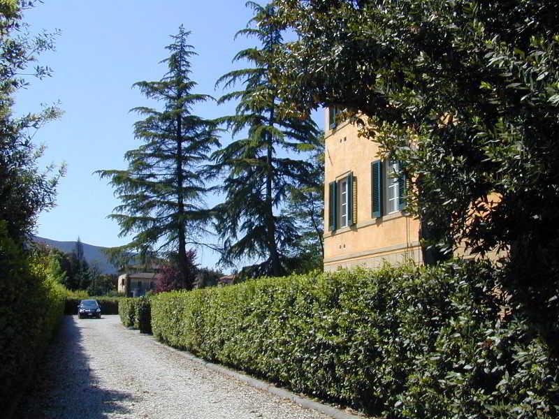 Villa La Nina Montecarlo Exteriör bild